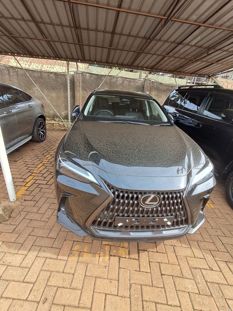 2024 Lexus NX
